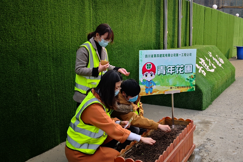 第一工程公司團(tuán)總支開展“共克時艱 心向花開”種植比賽_副本